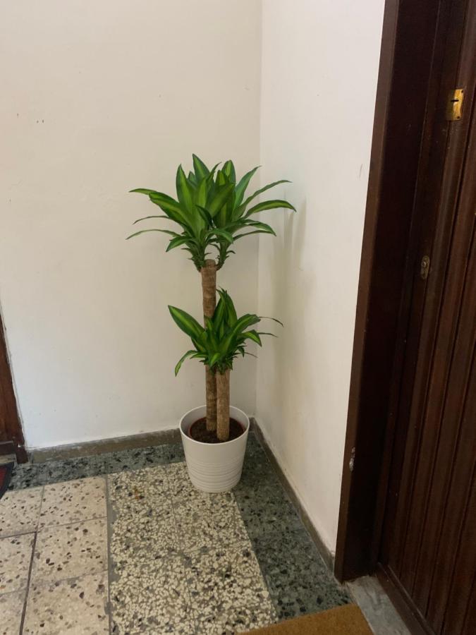 Pisa Train Station Guest House Экстерьер фото